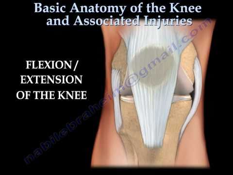 how to treat mcl knee injury