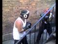 videos de funny figth