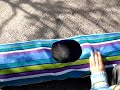 Lhasa Apso Ruby exit tunnel Vol.2