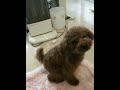 チーズを喜んで食べるジュンス
