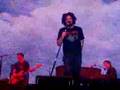 Counting Crows You Can't Count On Me Official Music Video and Lyrics