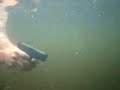 Glock underwater shooting