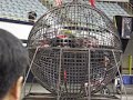 Three motorcycles in steal ball