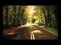 Right the Stars - You know the way to go (Acoustic Version) (Grey's anatomy 7x06 ending song)