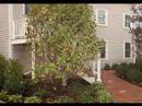 175 Bradford Street Extension #301, Provincetown, MA 02657