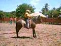 Caballo Bailador el Viejito