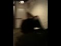 サロン・ミュージック
