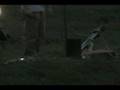 Black powder cannon