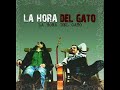 Entrevista cachonda a La Hora del Gato Entrevista cachonda a La Hora del Gato