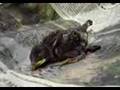 baby-bird-found-at-s