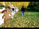 Sensizlik En B�y�k Bo?luk