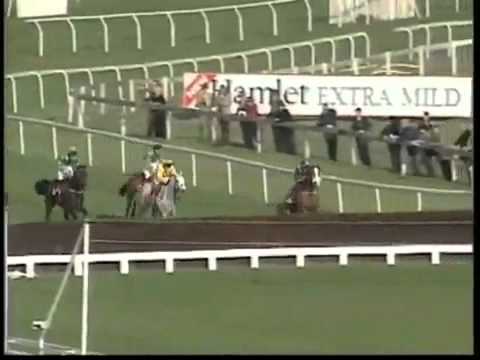 cheltenham gold cup