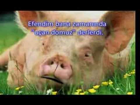 Cibulková Vilma video