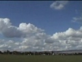 3D li U�u?larda