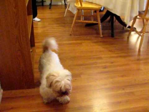 How To Install Laminate Flooring--Starting Out