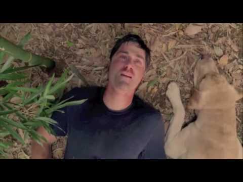 Lost: final alternativo