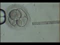 Helping the embryo to hatch