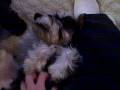 videos de VID00011.AVI