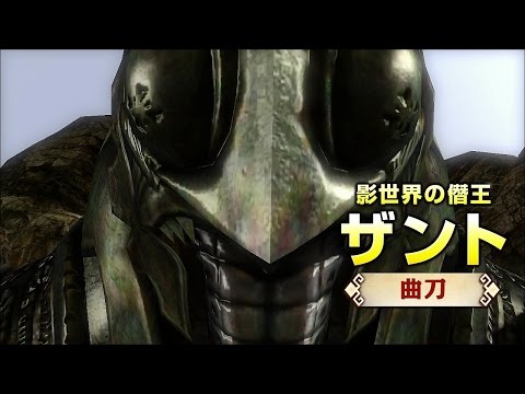 Vidéo 1