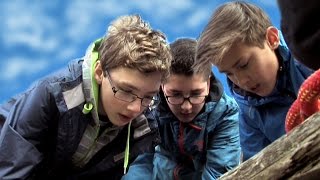 Zlatý list a Den pro volbu povolání