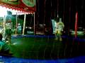 videos de 20112008