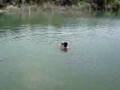 Pesca con arpon parte 1