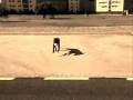 videos de Lua Callejera.wmv