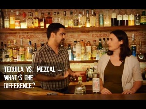 Tequila Vs  Mezcal - What's the Difference?