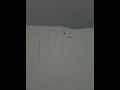Alec Nicholls video 1