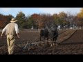 Ploughing at Beamish Museum