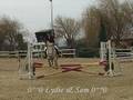 concour au Centre Equestre des Costières