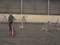 videos de Training Uschi mit Blizz, 21.12.08