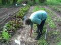 Cultivating Change: The City Farming Project Part 1