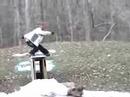 indict snow teaser