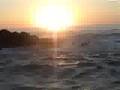 Fly fishing for billfish - knotworkfishing