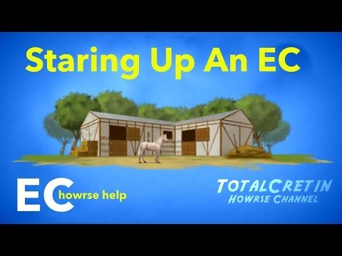 how to start off your ec on howrse
