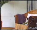ゲイ動画像