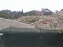 Randwick Defence Site Contamination