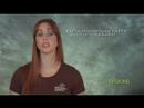 PREGNANCY DVD - From conception to caring for your Newborn B
