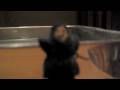 videos de Mini Mindfreak Episode I
