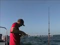 Ca��o no Mar Azul (peska.com.br)