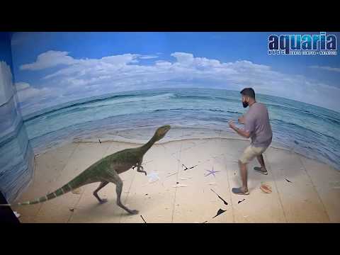 Illusion 3D Art Museum Kuala Lumpur - Air Land Sea -latest