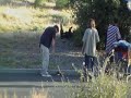 VALLEJO T.V. Episode 11 - Vallejo Undercover