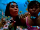 Swimming with Fishies