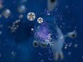 spore-cell-stage-video.html