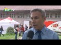 Video ansehen