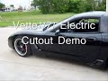 MS4 Cam in 2003 Z06 Cut-out demo