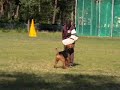 www.psisport.com -  IPO CACIT,Kozienice 2008 - Eyk-C