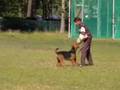 www.psisport.com -  IPO CACIT,Kozienice 2008 - Eyk-C
