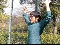 アサルト